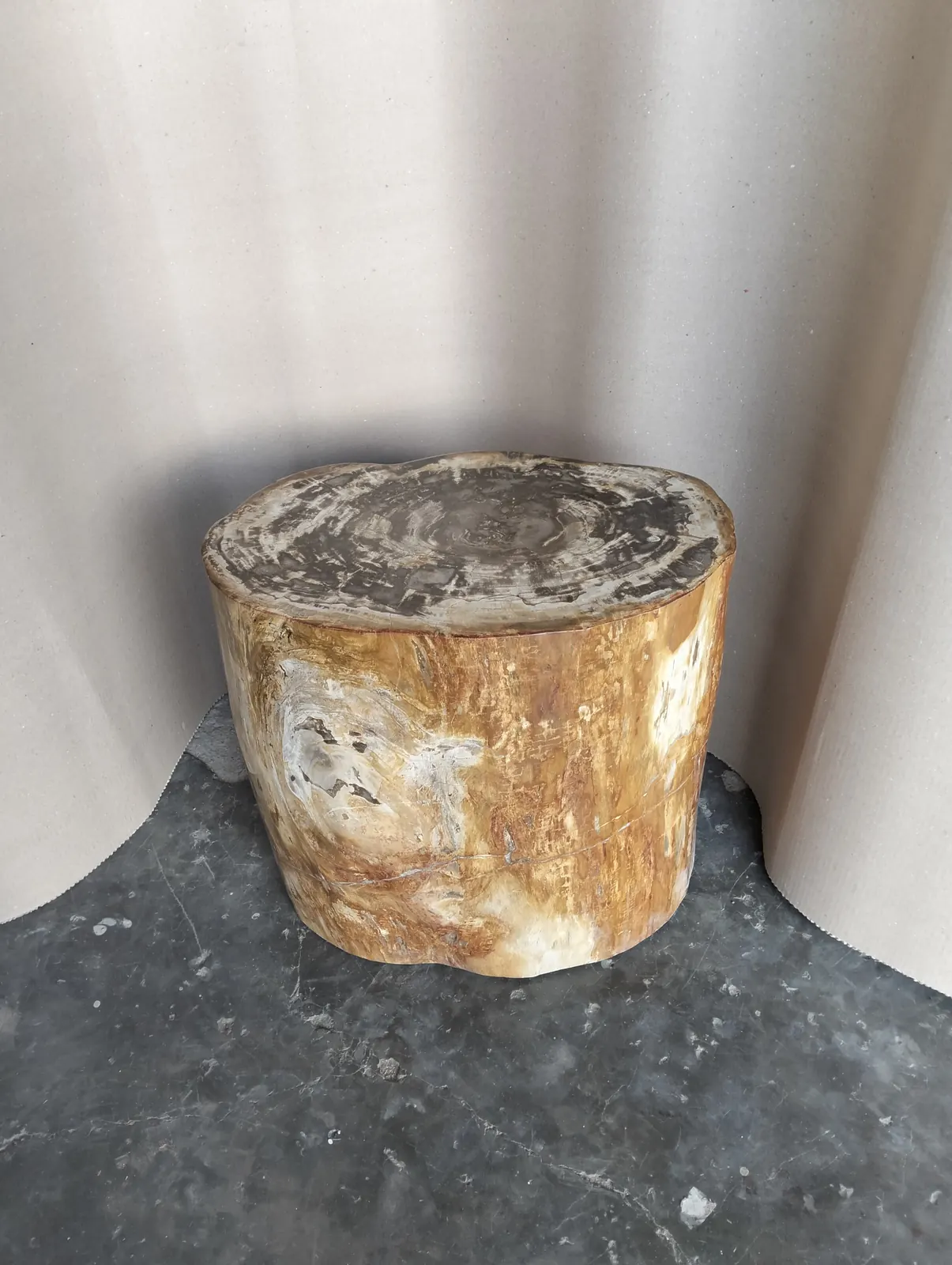 Bois pétrifié aux veines ocre, pièce unique