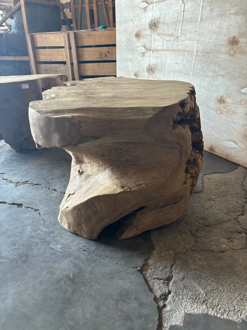 Table basse taillée dans une souche de suar