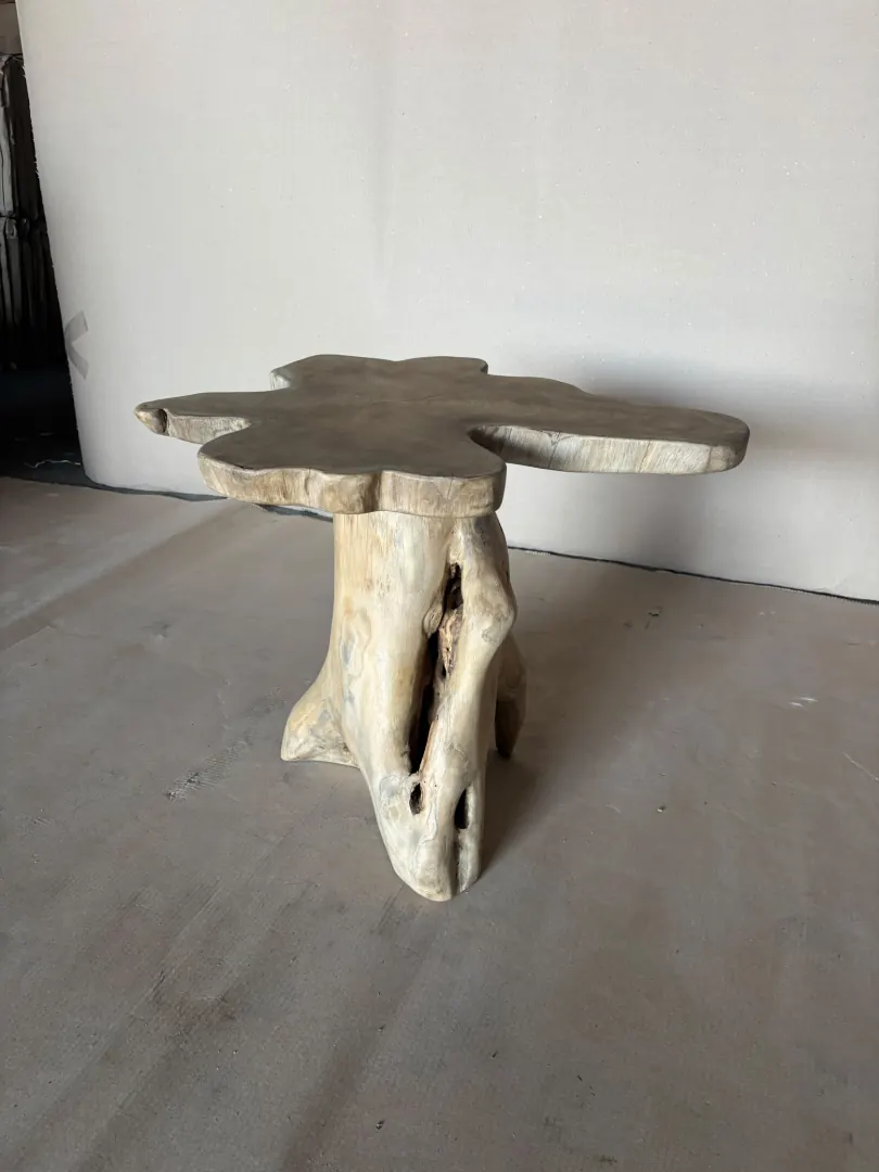 Table basse forme libre sur pied racine